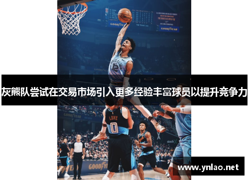 灰熊队尝试在交易市场引入更多经验丰富球员以提升竞争力
