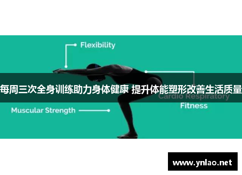 每周三次全身训练助力身体健康 提升体能塑形改善生活质量