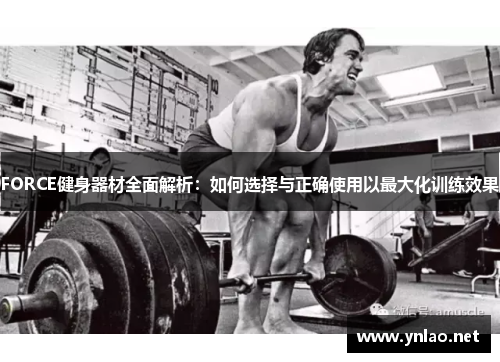 FORCE健身器材全面解析：如何选择与正确使用以最大化训练效果