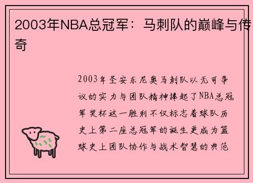 2003年NBA总冠军：马刺队的巅峰与传奇